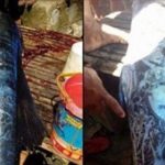 菲律賓漁民撈獲「全身圖騰的怪魚」引起熱議,仔細看上面的刺青…要起雞皮疙瘩了!