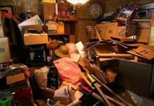 整理倉庫時意外發現「30年前養的寵物」還在角落靜靜的生活著!