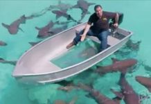 這款膠帶誇口「洞再大也能補」鄉民狂歪樓!小編神回各種鬧場留言,成功Hold住179萬人