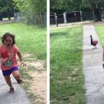 把5歲女兒「被孔雀開屏嚇跑」的照片貼上網,各大PS達人又開修圖派對了!