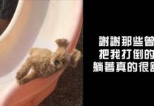 負負得正!20句超厭世負能量語錄 看完反而有被治癒的感覺!