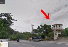 「幫我找手臂…」深夜遇攔車千萬不能停 她偷拍照片結果超慘