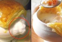 為何「酥皮濃湯」幾乎都裝在用雙獅頭碗?店員曝露真相 網民崩潰:以後不敢喝了