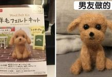 情侶DIY羊毛氈大PK!男友巧手神還原 她:太簡單! 最後造出「惡夢級製品」網友笑瘋:你的狗被撞了?