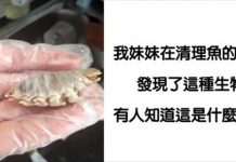 20個「讓人超困擾」的冷門問題 超強網民通通給出神解答