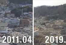 311大地震8年!日本「近岸城市紮實重建」驚呆全世界…網推:捐得甘願啊