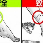 12個在危急關頭可能救你一命的「自救技巧」!