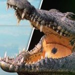 牧師想仿傚耶穌「水上行走」的神蹟 結果卻慘遭鱷魚分屍果腹