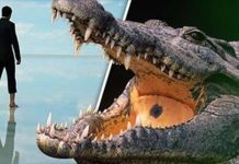 牧師想仿傚耶穌「水上行走」的神蹟 結果卻慘遭鱷魚分屍果腹