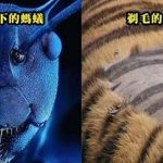 23張「一生未必能親眼看到」的超稀有照片…比錢幣還小的蛇!