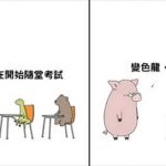 假如動物能溝通…31張動物「呆萌日常」讓你療癒一整天