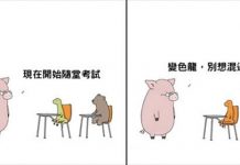 假如動物能溝通…31張動物「呆萌日常」讓你療癒一整天