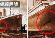 10個陰謀論讓你覺得「歷史根本是一場騙局」!網分析:麥可傑克森真的可能是假死