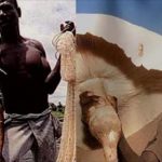 非洲所有「尺寸都大到令人震驚」不只男人,連一隻青蛙都可以跟小孩一樣大!