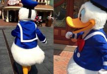 迪士尼的人偶如何下班?「唐老鴨收工全直擊」竟萌翻網民:也太萌了吧!