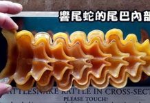 「這輩子都未必看到」系列 罕見剖面圖…保齡球內原來長這樣?