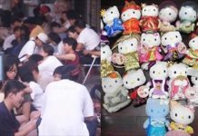 平均2個台灣人就有1隻!還記得20年前「麥當勞吉蒂貓之亂」嗎?二手市價今曝光:立馬回家找啊!