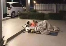 男子以身試法:跟老婆大人吵架的下場就醬!網友笑歪:連二哈也受牽連!?