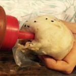 為什麼都拿甜辣醬罐「往包子屁股插」台中人秒懂的獨特吃法!