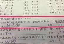 「小強射球幾次?」這道數學題讓網民全腦崩:來拿去問媽祖…