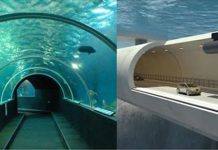 海底全是水…那「海底隧道」是怎樣蓋出來的?構造原理解開多年疑惑:天啊!原來是這樣