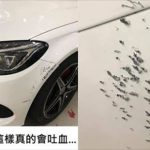 他將賓士泊在停車場,隔天發現「車頭全是洞」…怒調監視器找兇手,卻只能無奈原諒了!