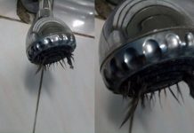 洗澡時驚見蓮蓬頭「炸出黑毛」更噁心的事情還在後頭:干!超崩潰