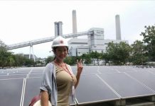 「極品天菜工程師」火辣身材引網民熱議! 網民:有這種同事真不曉得眼睛要看哪