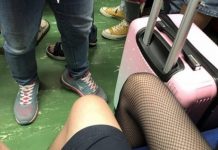 坐火車狂被隔壁騷擾好困惑!魯男PO問:隔壁網襪妹一直磨擦我大腿該怎麼辦?