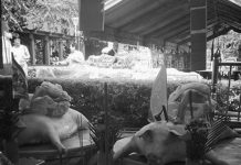 她本想PO這張看似正常的「中元普渡祭拜照片」到臉書,仔細一看後…差點嚇到把手機扔出去