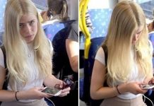 坐車偶遇金絲貓!怎料卻因「下半身」太吸睛引發熱議!網喊:你挖到寶了!