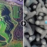 上帝視角看地球 30張「顛覆固有印象」的地球衛星圖片