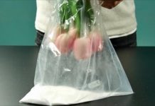 7種用鹽小技巧,學起來稱霸家居XD