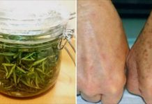 效果媲美匈牙利皇后水!竟然只因迷迭香?