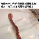 陪伴妹妹22年的寶貝變成謎樣生物…網友:吃了22年真是物超所值!