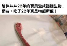 陪伴妹妹22年的寶貝變成謎樣生物…網友:吃了22年真是物超所值!