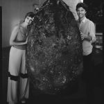 專家在樹下挖出一顆巨蛋,以為只是化石,但讓人震驚的是裡面並不是化石啊