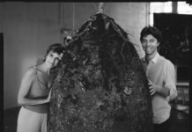 專家在樹下挖出一顆巨蛋,以為只是化石,但讓人震驚的是裡面並不是化石啊