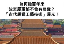 幾百年了…故宮屋頂為何從來都沒有鳥糞?「古代超猛工藝技術」連外國人都大嘆佩服!