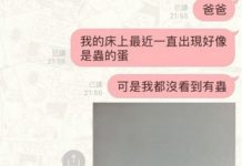 床上經常出現「不明白色蟲蛋」,一個月後發現搞笑真相…網友笑翻:484傻?