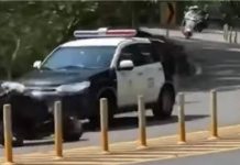 重機北宜「高速過彎超警車」 免罰2理由曝光