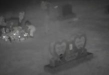 未分類 墓園監視器驚見兩歲離世女兒「蹲看玩具」媽媽看見秒掉淚:真的是我女兒!