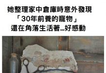 她整理家中倉庫時意外發現「30年前養的寵物」還在角落生活著!
