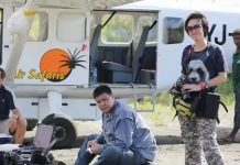 花光1億家產!富豪夫妻環遊世界爽玩10年,差點回不來,打算從零開始「刷銀行帳戶笑了」:又多8億