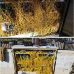 公司讓他去整理這些糾結的「電信數據線」沒想到九天後…讓人看得太舒坦了!