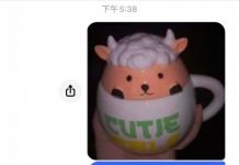 笑死!四條腿的就對了