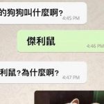 真的是鼠如其名!?