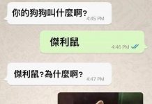 真的是鼠如其名!?