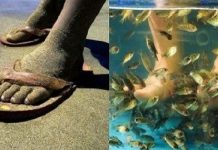 男子十年沒洗過腳!和女朋友約會去做魚療足浴,結帳時老闆看傻了,直接給免費!