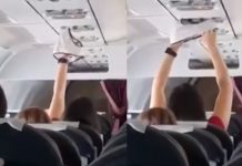 飛機上聞到一股濃濃的海鮮味驚見大媽雙手拿這個在出風口吹